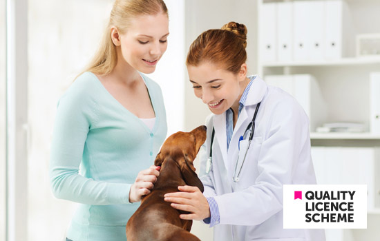 Vet and pet owner with a dog in a clinic, Online Level 3 Diploma in Animal Care.