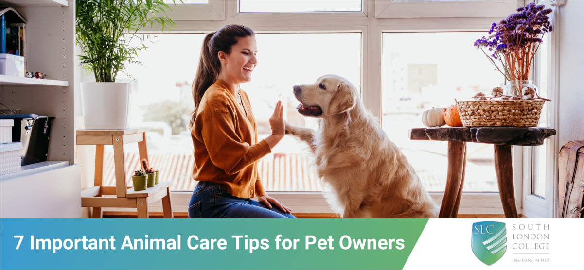 7 Important Animal Care Tips for Pet Owners | South London College